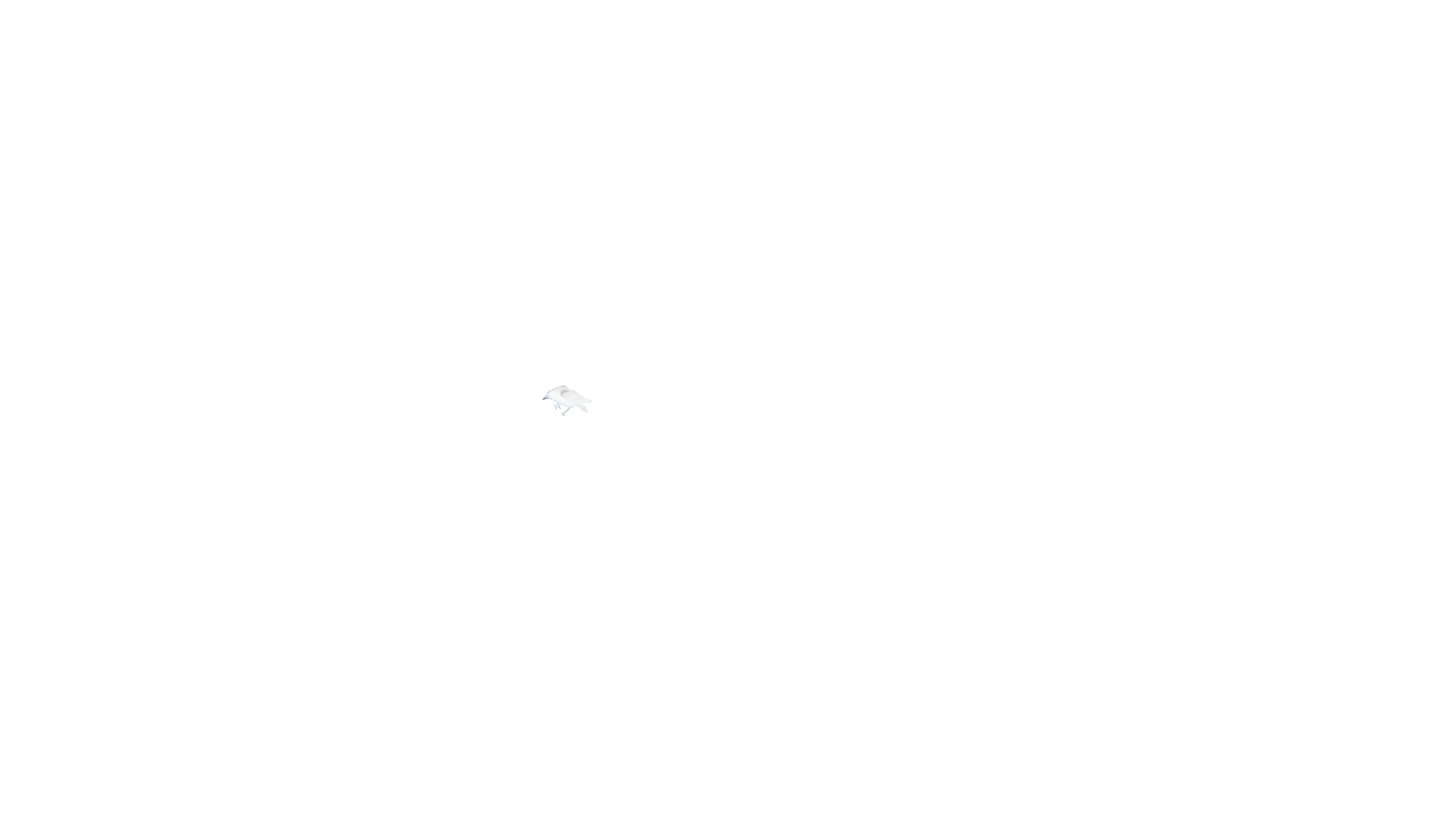 Crow Highlight